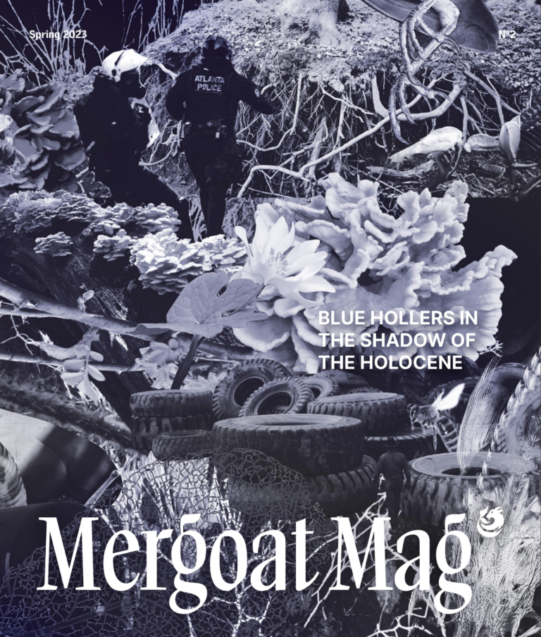The cover of Mergoat Mag Blue Hollers in the Shadow of the Holocene features a blue collage of images of natural elements like bloodroot and mushrooms, a sturgeon fish, and tree roots, as well as Atlanta police and stacks of tires.